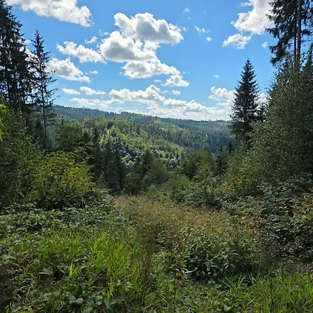 Rosenzauber Seeromantik Kramer *